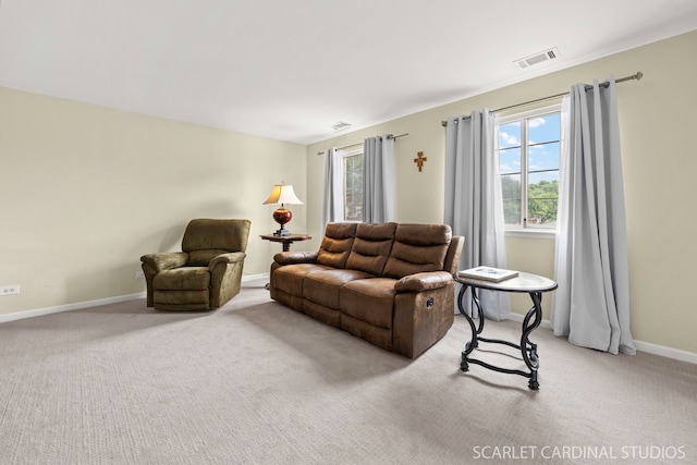 1356 S Lorraine Rd Unit E, Wheaton, IL 60189 - living room with light colored carpet and plenty of natural light