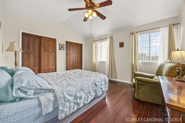 1356 S Lorraine Rd Unit E, Wheaton, IL 60189 - bedroom featuring vaulted ceiling, hardwood / wood-style flooring, two closets, and ceiling fan