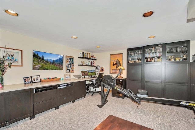 4839 Lamb Dr, Oak Lawn, IL 60453 - exercise area featuring carpet and recessed lighting