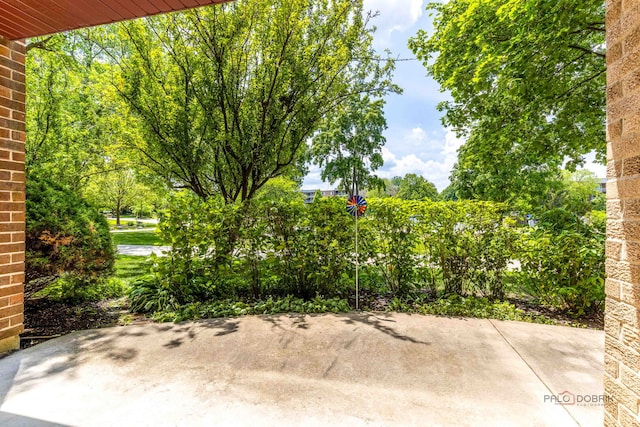 945 E Kenilworth Ave Unit 120, Palatine, IL 60074 - view of patio