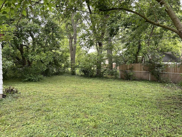 417 Shabbona Dr, Park Forest, IL 60466 - view of yard