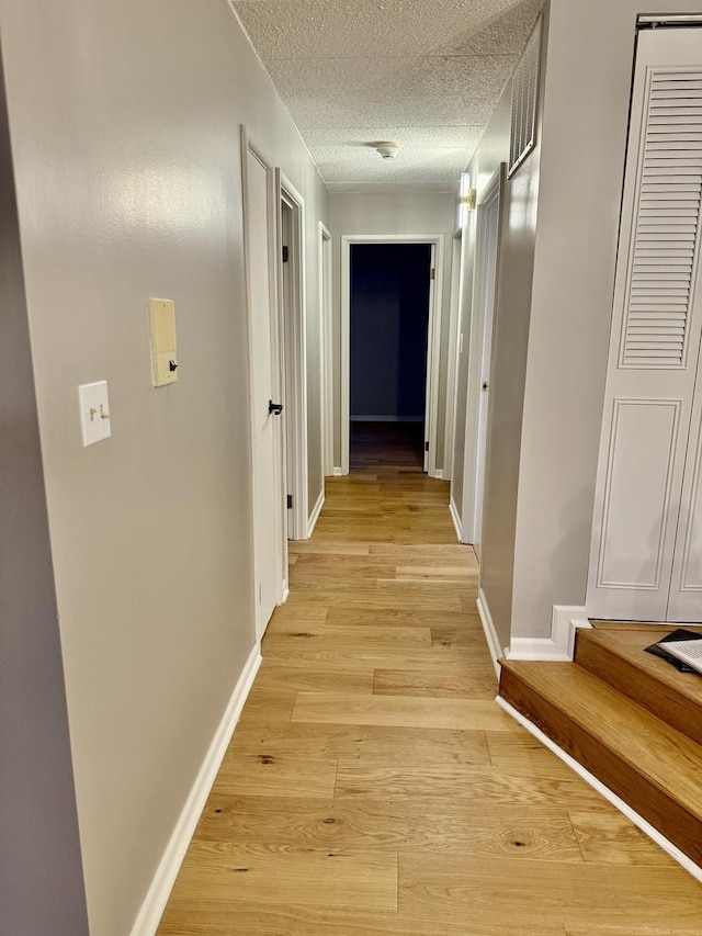 61 W Pier Dr Unit 101, Westmont, IL 60559 - photo 8