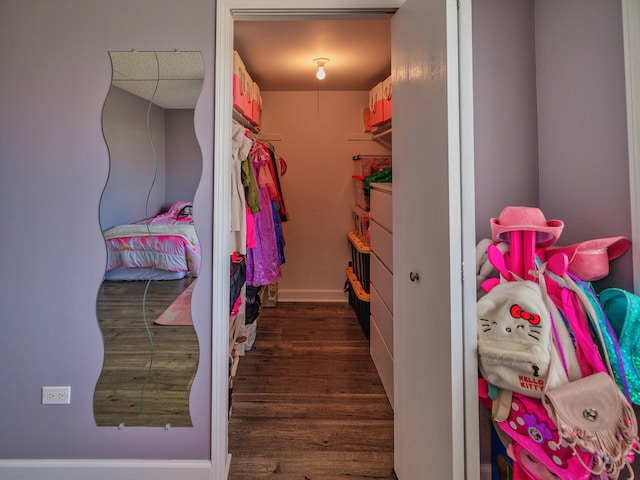 1215 Chalet Rd Unit 200, Naperville, IL 60563 - walk in closet featuring dark wood-style flooring