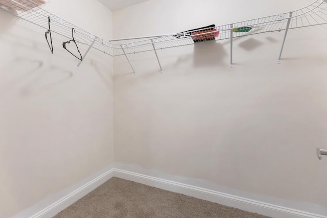 5251 W Galitz St Unit 311, Skokie, IL 60077 - spacious closet with carpet flooring