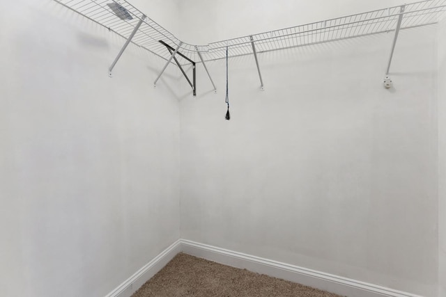 5251 W Galitz St Unit 311, Skokie, IL 60077 - walk in closet featuring carpet