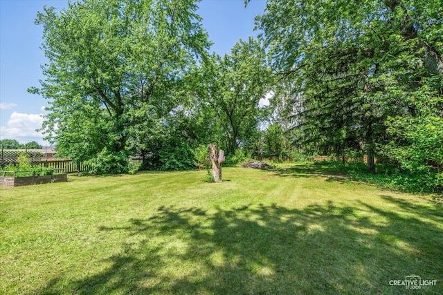 1920 Heather Ln, Joliet, IL 60431 - view of yard