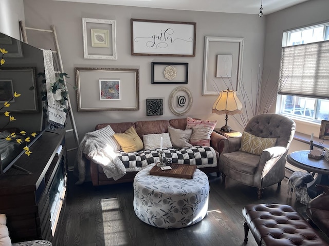 living area with wood finished floors and plenty of natural light