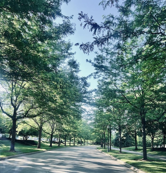 view of asphalt street featuring curbs