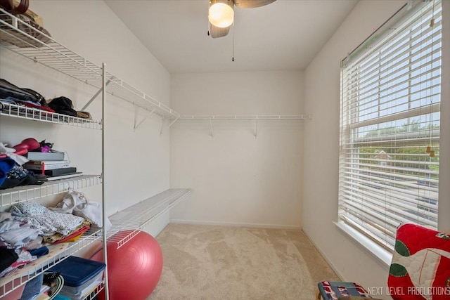2903 Saganashkee Ln, Naperville, IL 60564 - photo 21
