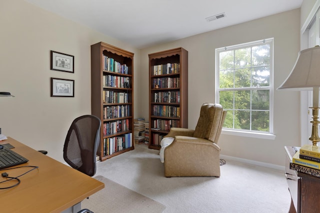 910 Angle Tarn Dr, West Dundee, IL 60118 - carpeted home office with healthy amount of natural light