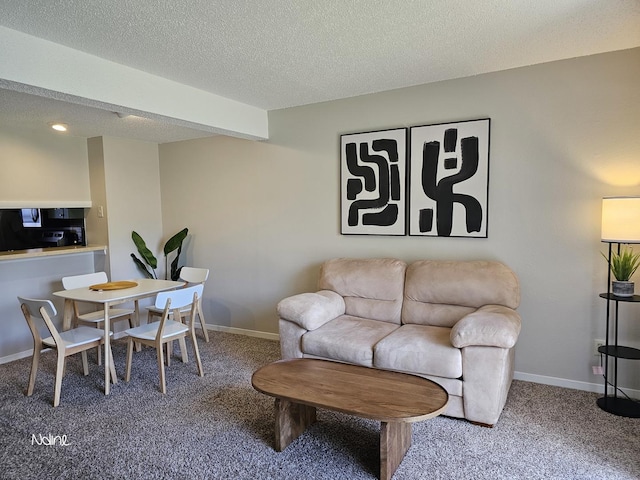 1166 Pomona Dr, Champaign, IL 61822 - carpeted living area featuring baseboards and a textured ceiling