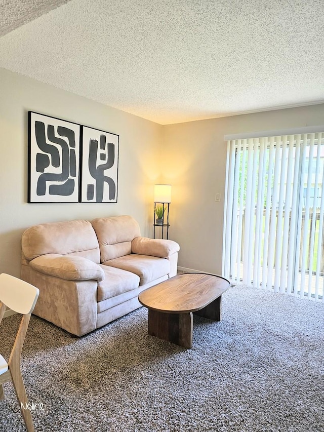 1166 Pomona Dr, Champaign, IL 61822 - carpeted living area featuring a textured ceiling