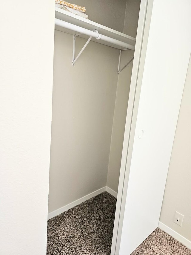 1166 Pomona Dr, Champaign, IL 61822 - view of closet