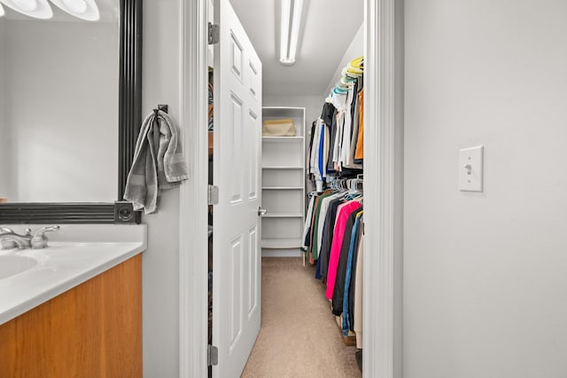 1826 Joseph Sixbury St, Sycamore, IL 60178 - walk in closet with carpet