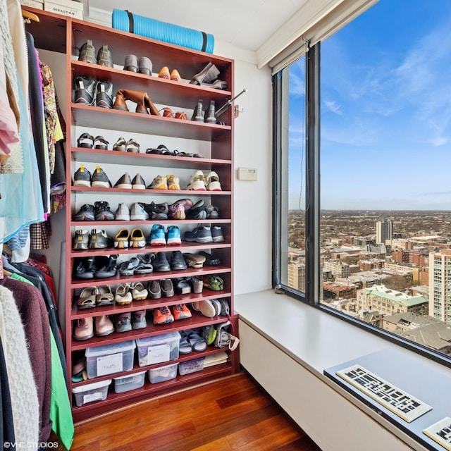 5455 N Sheridan Rd Unit 3601-3602, Chicago, IL 60640 - spacious closet featuring wood finished floors