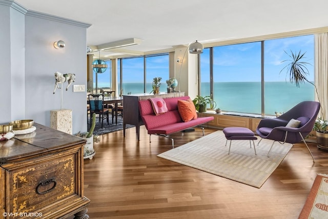 5455 N Sheridan Rd Unit 3601-3602, Chicago, IL 60640 - living area featuring floor to ceiling windows, wood finished floors, and a water view