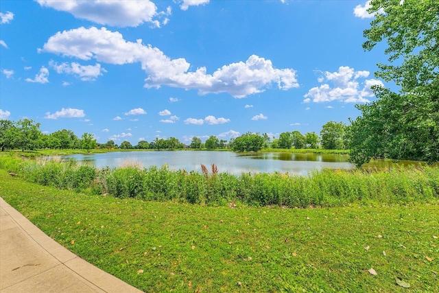 2553 Clayton Blvd Unit 2553, Champaign, IL 61822 - water view