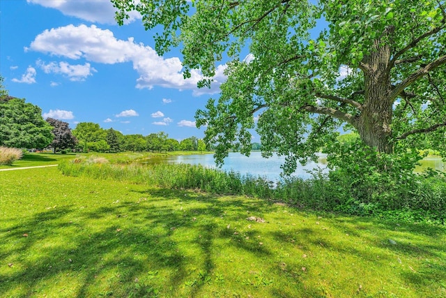 2553 Clayton Blvd Unit 2553, Champaign, IL 61822 - water view