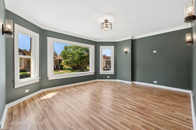 6236 W Cornelia Ave, Chicago, IL 60634 - photo 2