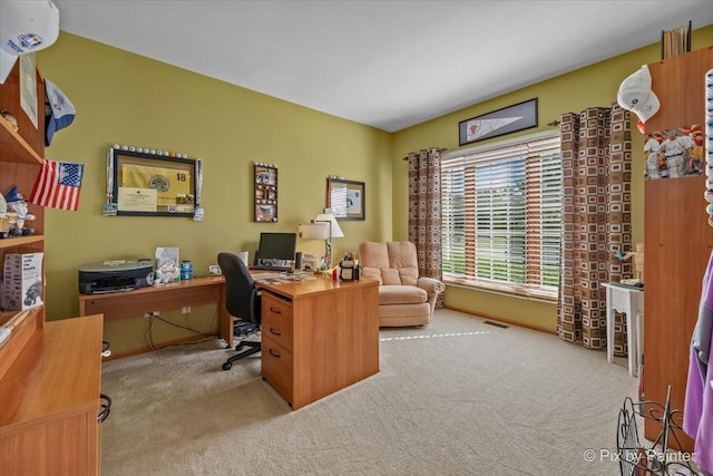 3720 Cypress Dr, Spring Grove, IL 60081 - office featuring carpet floors