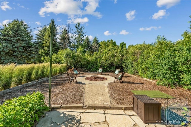3720 Cypress Dr, Spring Grove, IL 60081 - surrounding community with a fire pit