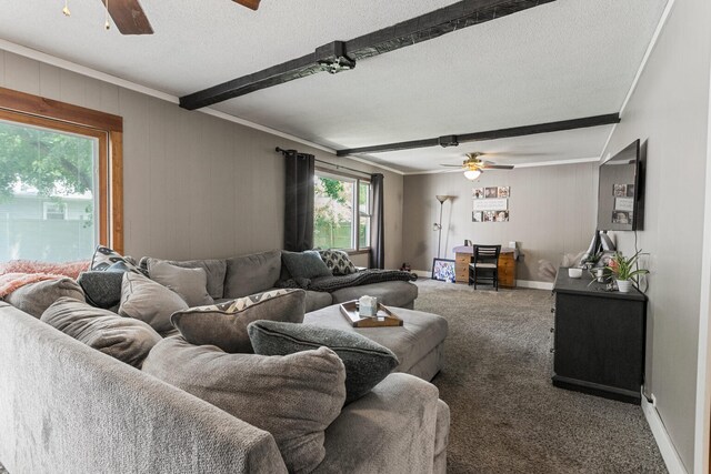 103 Taylor Ct, Catlin, IL 61817 - carpeted living room with ceiling fan, beam ceiling, a textured ceiling, crown molding, and wood walls