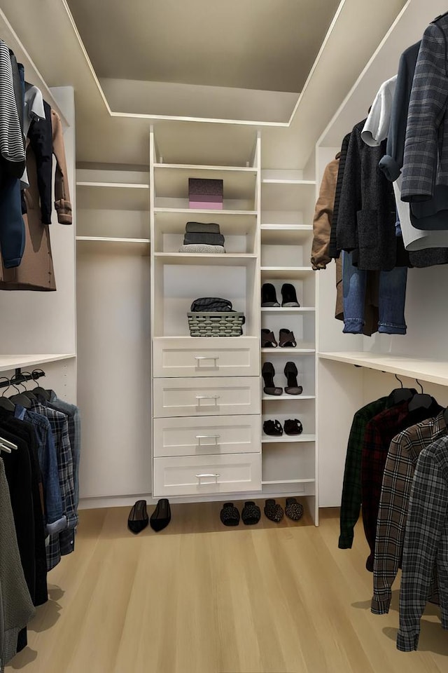 2745 N Greenview Ave Unit 2, Chicago, IL 60614 - walk in closet with wood finished floors