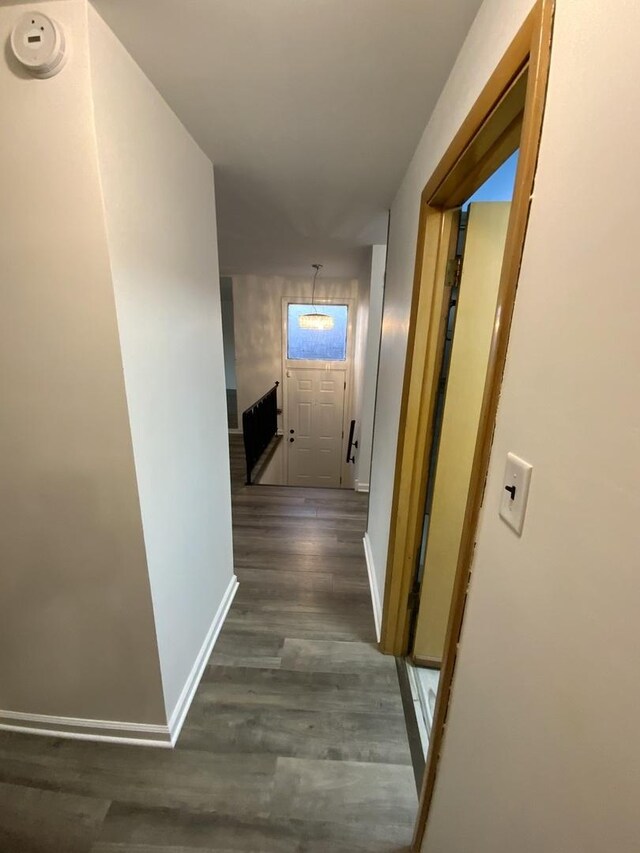 14441 Dante Ave, Dolton, IL 60419 - hallway featuring dark wood-type flooring and baseboards