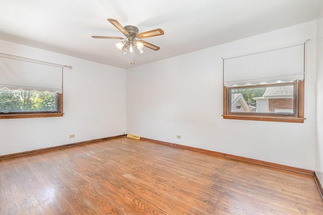 62 E Arquilla Dr, Chicago Heights, IL 60411 - photo 12