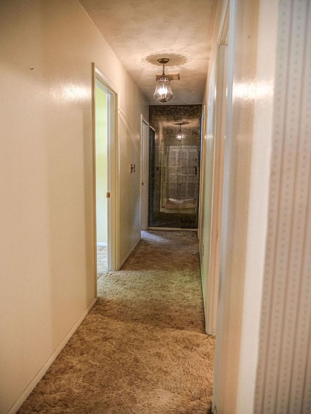 110 Hickory, Villa Grove, IL 61956 - corridor featuring carpet floors