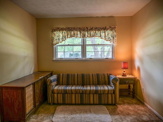 110 Hickory, Villa Grove, IL 61956 - living area featuring carpet flooring and baseboards