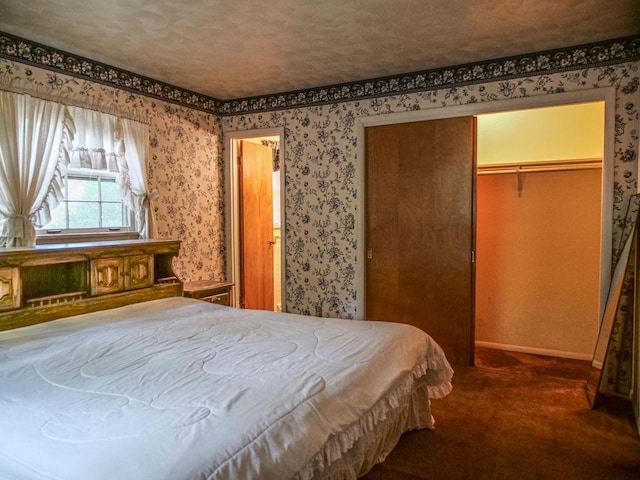 110 Hickory, Villa Grove, IL 61956 - bedroom with dark carpet, wallpapered walls, and a closet