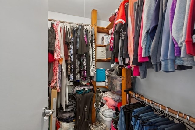 738 Colorado Ct, Carol Stream, IL 60188 - view of spacious closet
