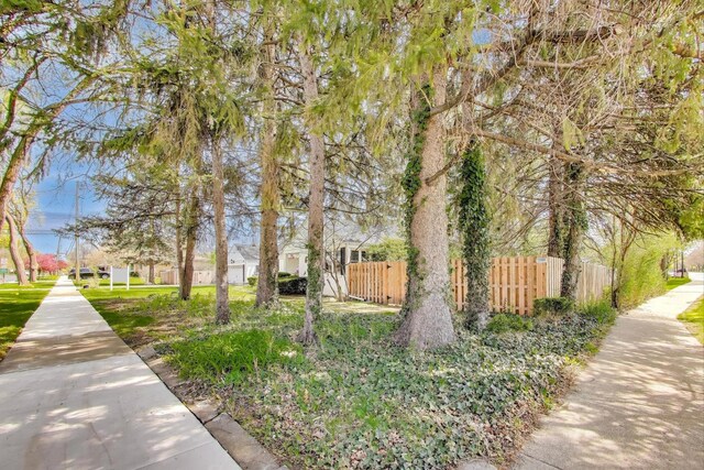 201 W Council Trl, Mount Prospect, IL 60056 - photo 6