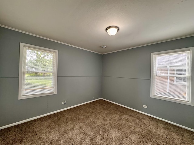 336 Marquette St, Park Forest, IL 60466 - carpeted spare room with crown molding and baseboards