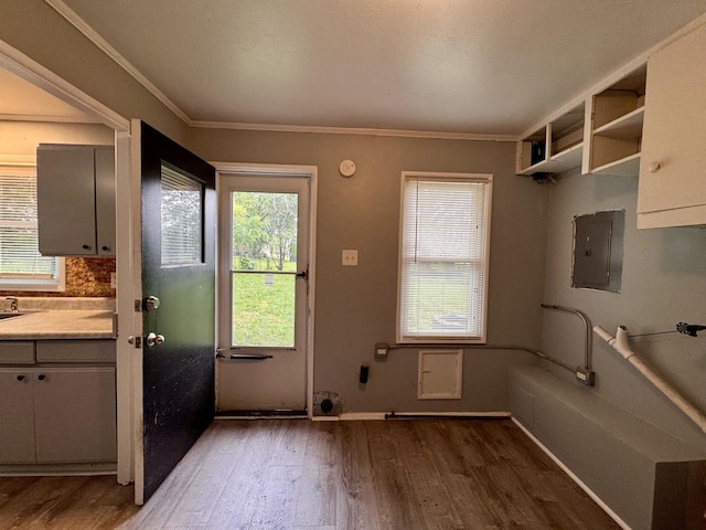 336 Marquette St, Park Forest, IL 60466 - entryway featuring wood finished floors, electric panel, plenty of natural light, and ornamental molding