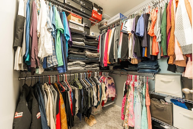 1113 Sapphire Ln, Pingree Grove, IL 60140 - spacious closet featuring carpet floors