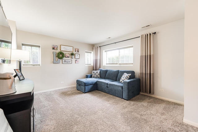 1113 Sapphire Ln, Pingree Grove, IL 60140 - living area with carpet and baseboards