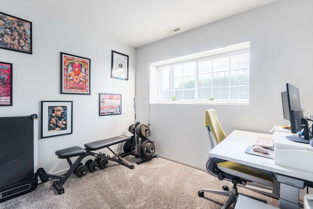 1113 Sapphire Ln, Pingree Grove, IL 60140 - home office with carpet and baseboards