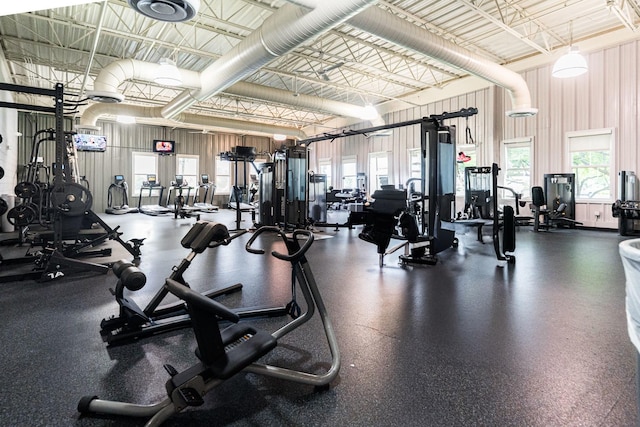 1113 Sapphire Ln, Pingree Grove, IL 60140 - exercise room with plenty of natural light