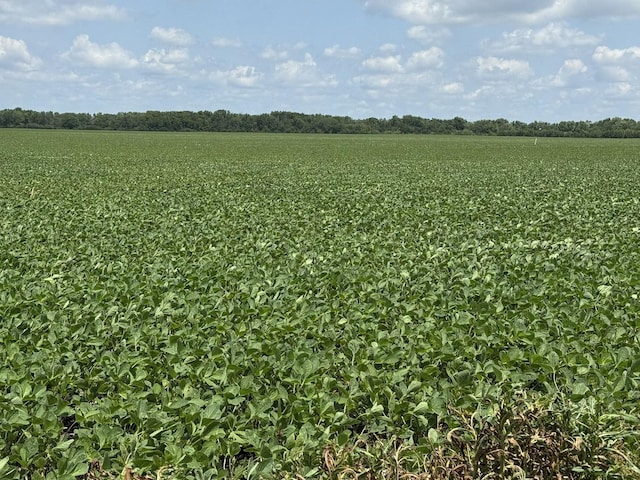 7915 N 4100 E Rd, Saybrook, IL 61770 - view of local wilderness featuring rural landscape