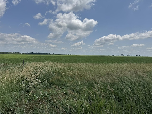 7915 N 4100 E Rd, Saybrook, IL 61770 - view of local wilderness with rural landscape