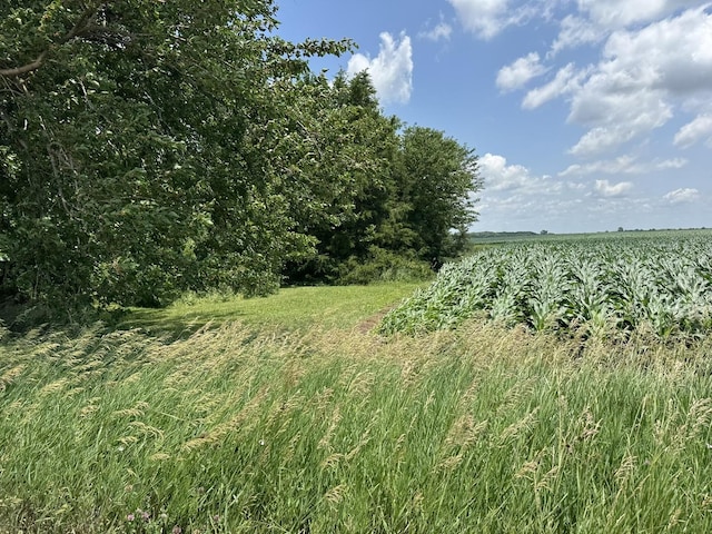 7915 N 4100 E Rd, Saybrook, IL 61770 - view of nature with rural landscape and rows of crops