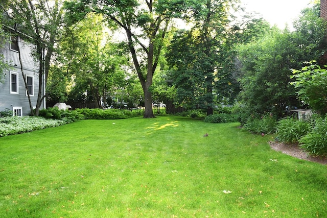 2008 Mcdaniel Ave, Evanston, IL 60201 - view of grassy yard