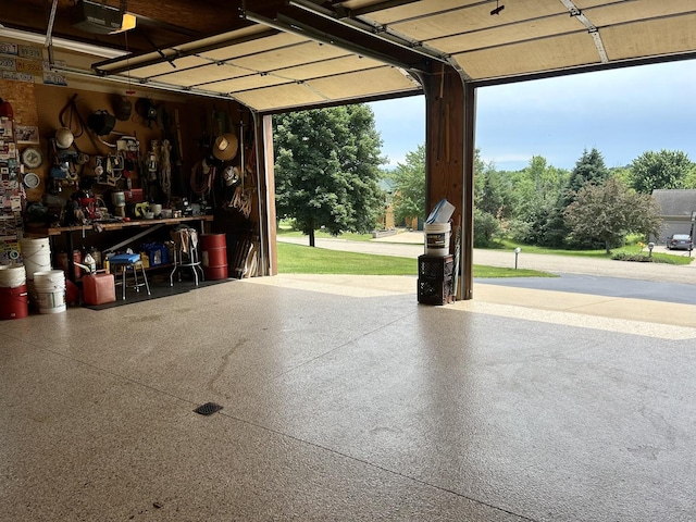 3468 E Spring Creek Dr, Ladd, IL 61329 - garage with a garage door opener