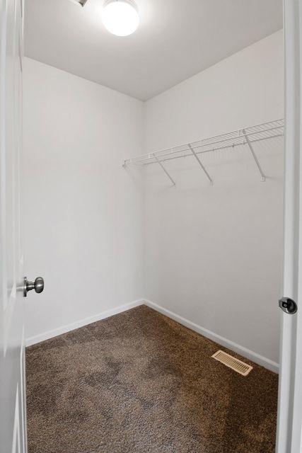 10425 Freedom Way, Cedar Lake, IN 46303 - spacious closet with carpet