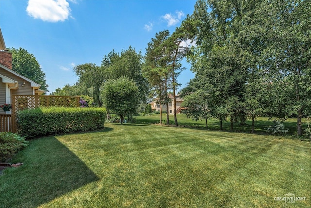 1453 Yale Ct, Naperville, IL 60565 - view of grassy yard