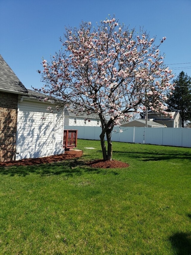 7155 W 71st St, Chicago, IL 60638 - view of yard