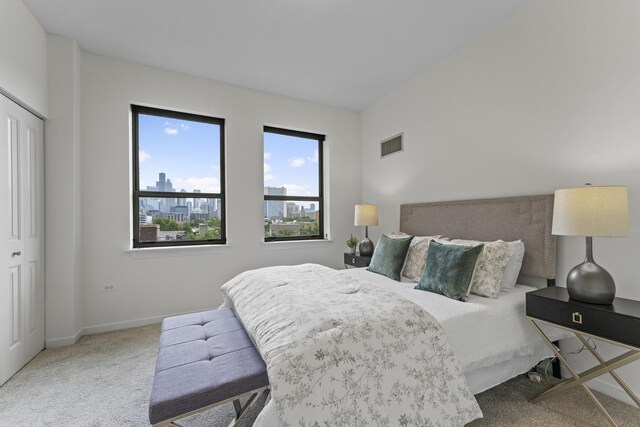 437 W Division St Unit 515, Chicago, IL 60610 - photo 22