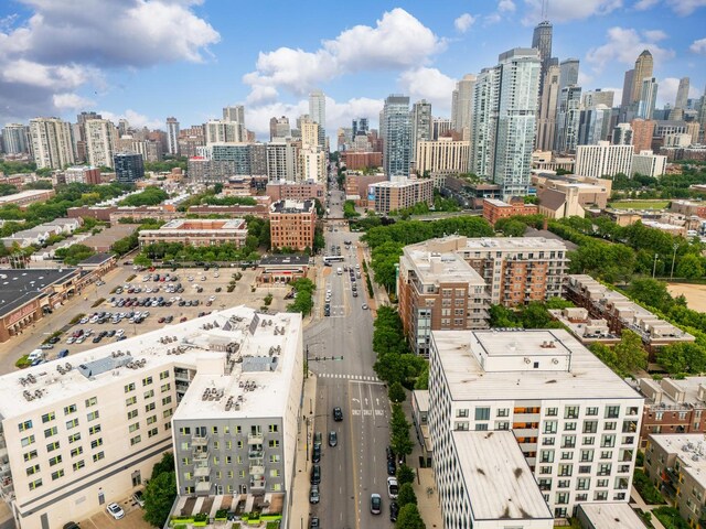 437 W Division St Unit 515, Chicago, IL 60610 - photo 33